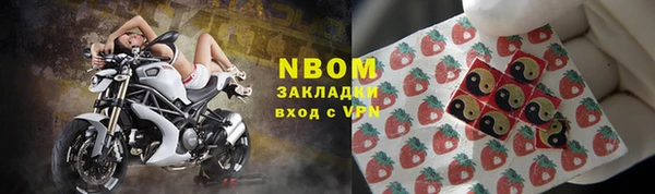 стафф Каменногорск