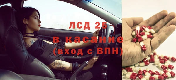 стафф Каменск-Шахтинский