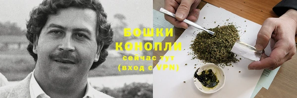 стафф Каменногорск