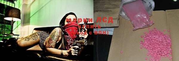 ПСИЛОЦИБИНОВЫЕ ГРИБЫ Инсар