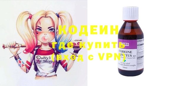 стафф Каменногорск