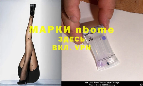 стафф Каменногорск
