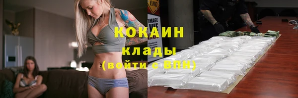 стафф Каменногорск