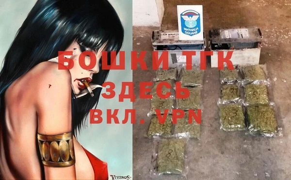 стафф Каменногорск