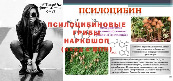 стафф Каменск-Шахтинский