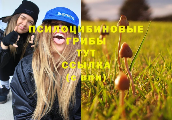стафф Каменск-Шахтинский