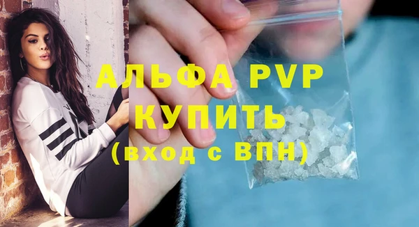 стафф Каменск-Шахтинский